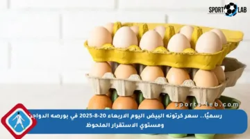 رسميًا.. سعر كرتونة البيض اليوم الأربعاء 20-8-2025 في بورصة الدواجن ومستوى الاستقرار الملحوظ